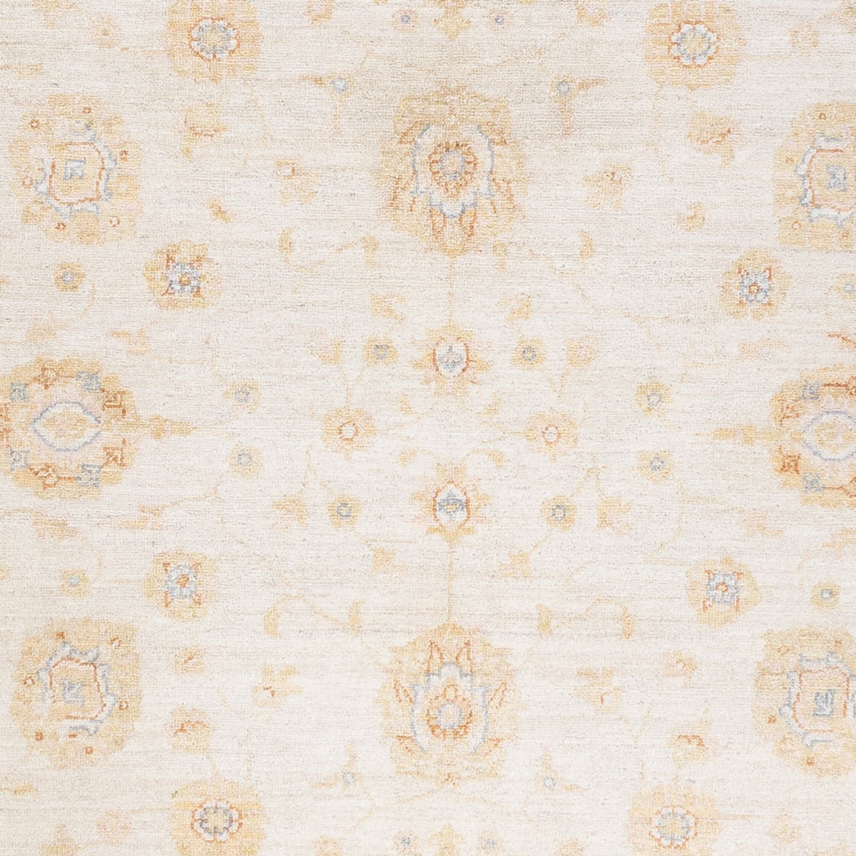 Ziegler Carpet - 240 x 170 cm - creme