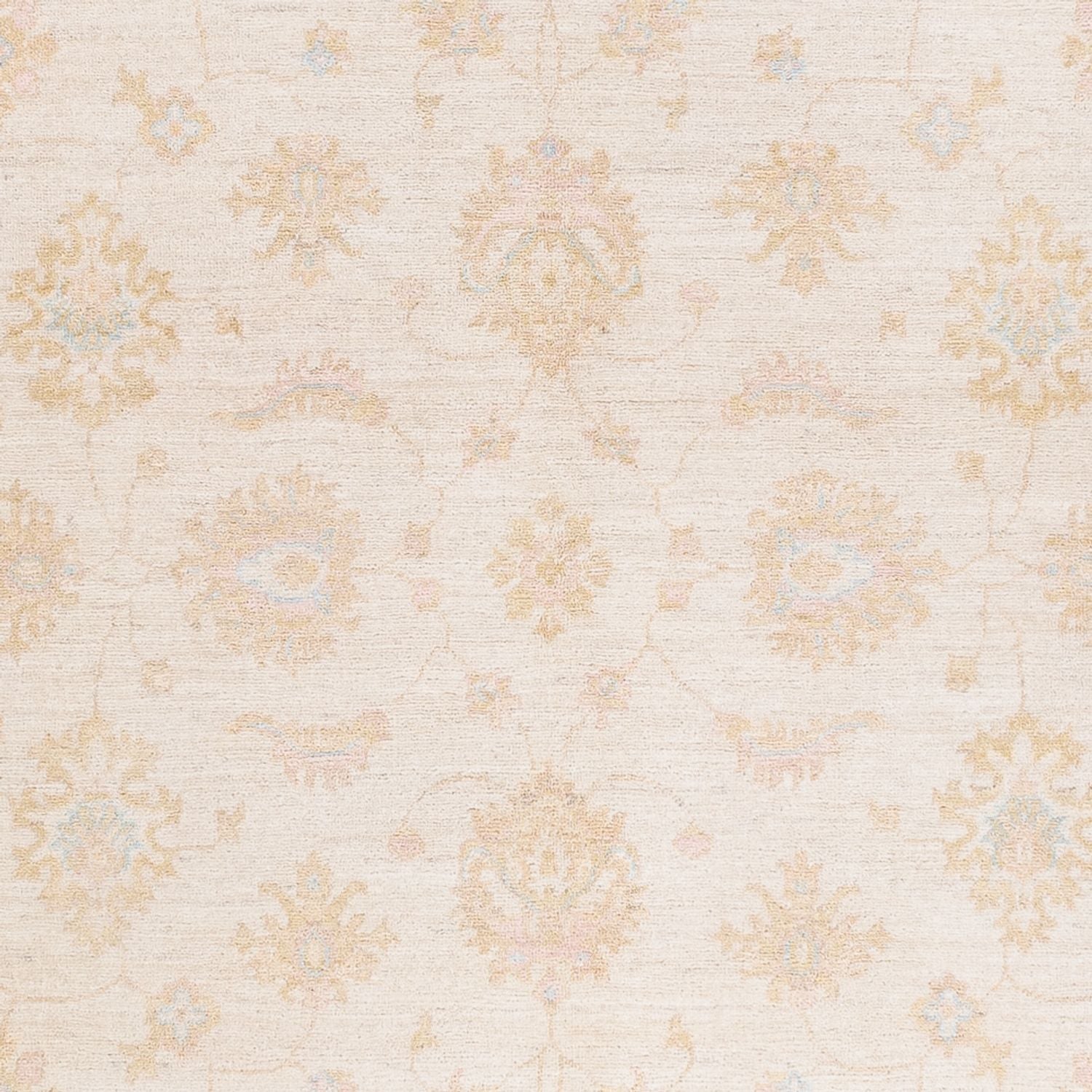 Ziegler Carpet - 240 x 175 cm - creme