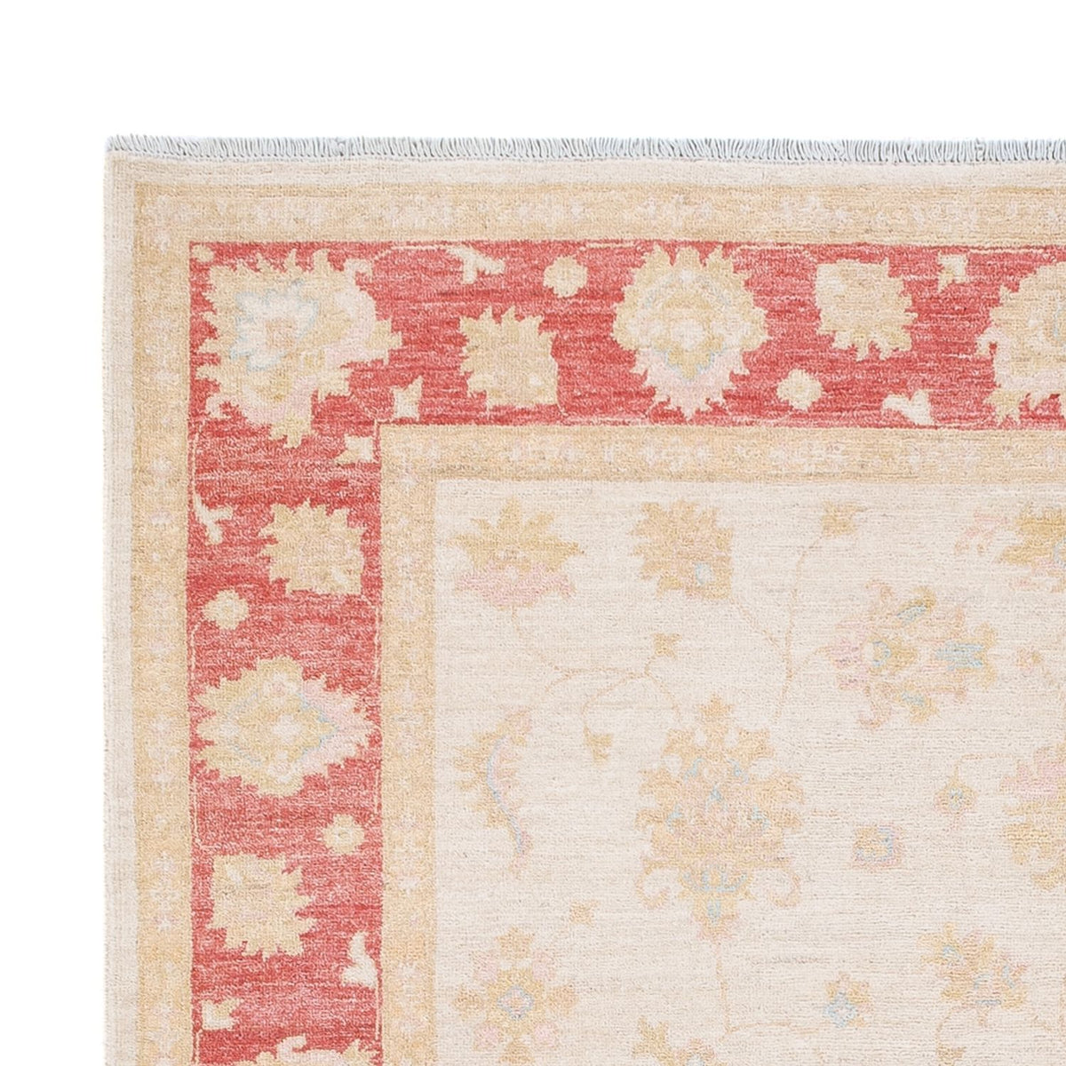 Ziegler Carpet - 240 x 175 cm - creme