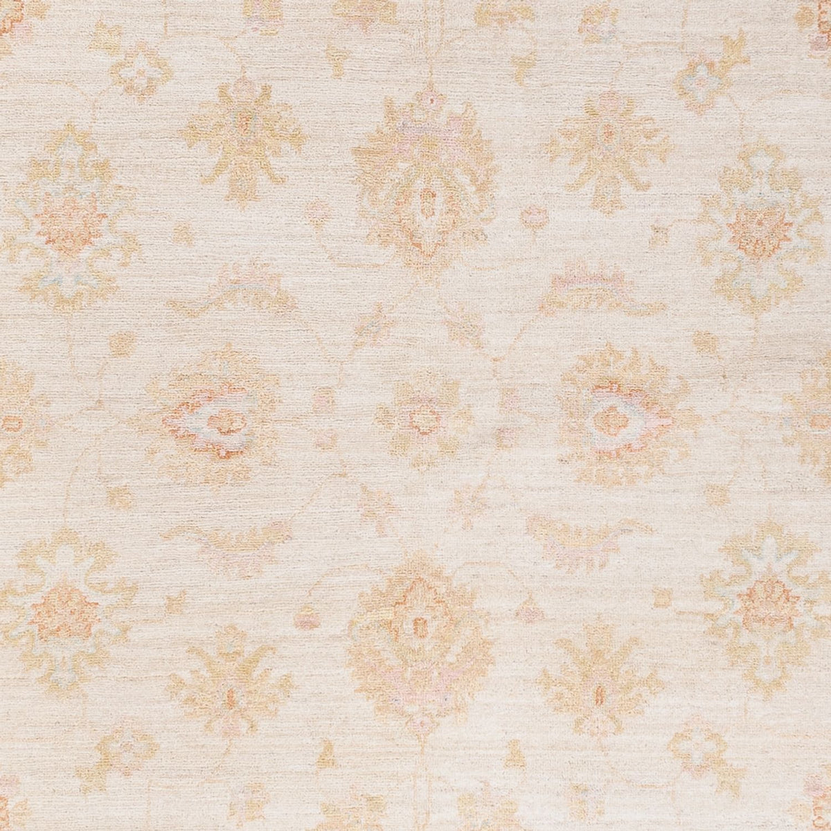 Ziegler Carpet - 257 x 173 cm - creme