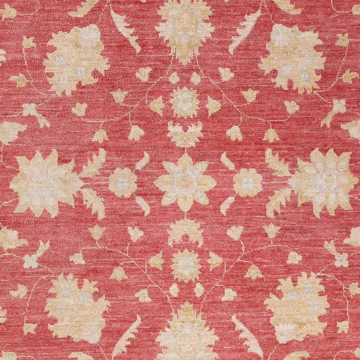 Ziegler Carpet - 234 x 169 cm - rød