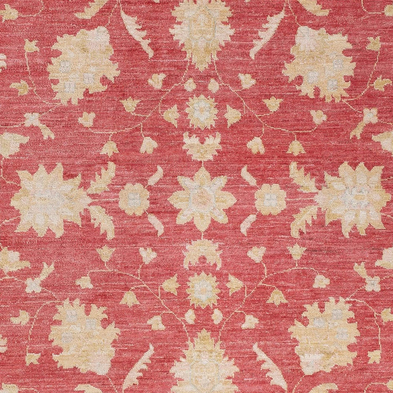 Ziegler Carpet - 234 x 169 cm - rød