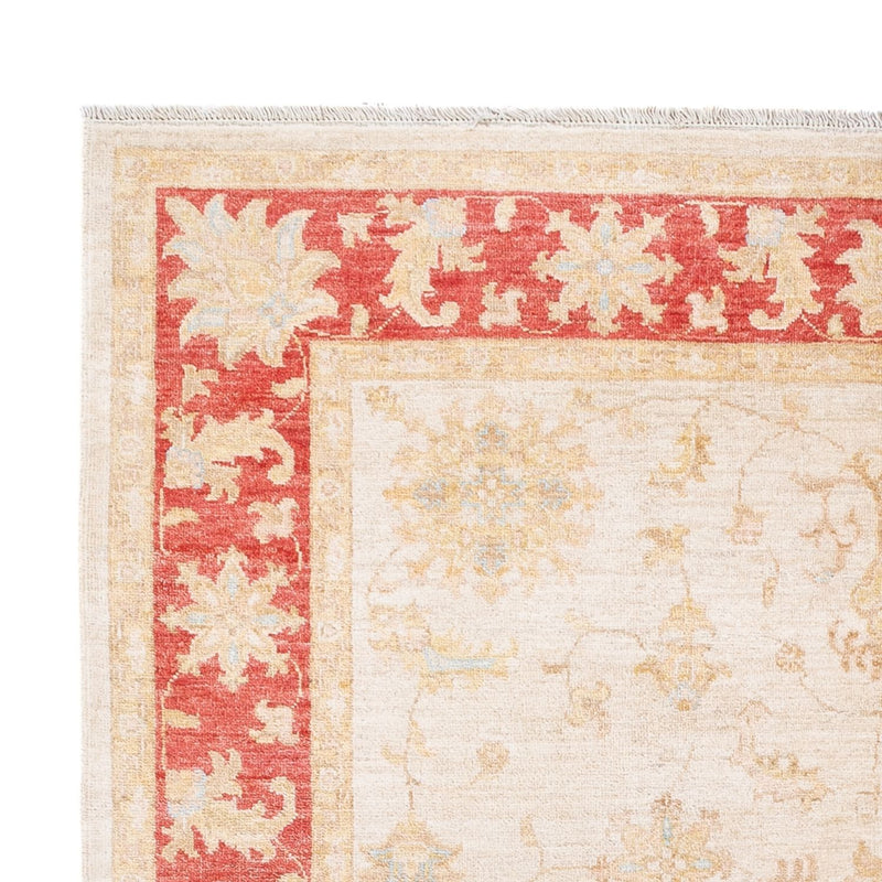 Ziegler Carpet - 241 x 171 cm - creme