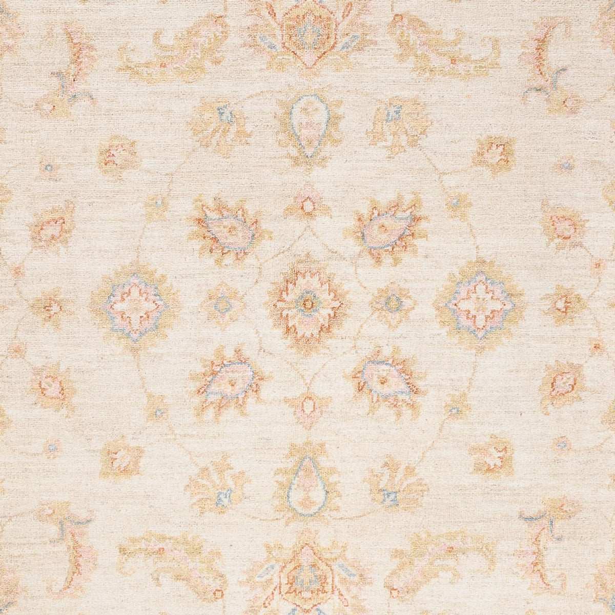 Ziegler Carpet - 238 x 173 cm - creme