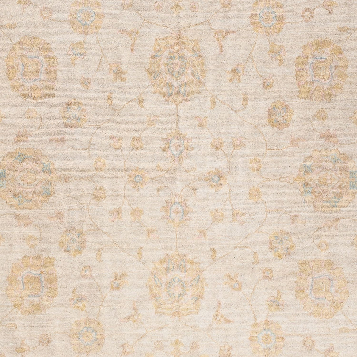 Ziegler Carpet - 243 x 171 cm - creme