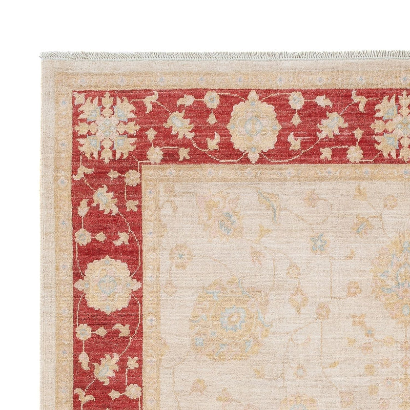 Ziegler Carpet - 243 x 171 cm - creme