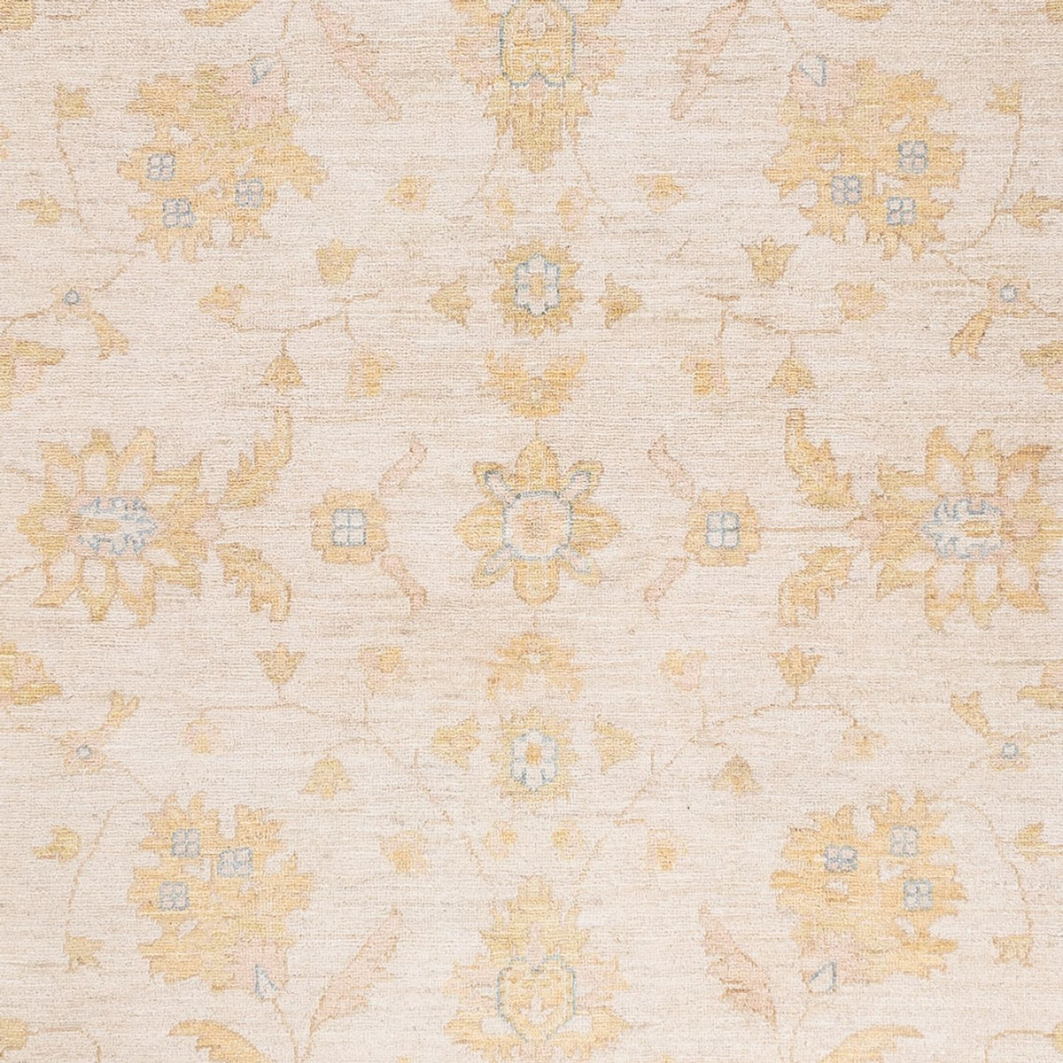 Ziegler Carpet - 240 x 178 cm - creme