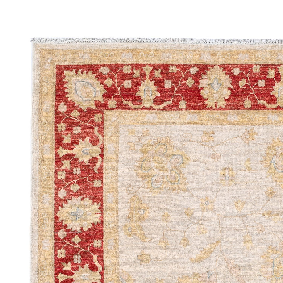 Ziegler Carpet - 240 x 178 cm - creme