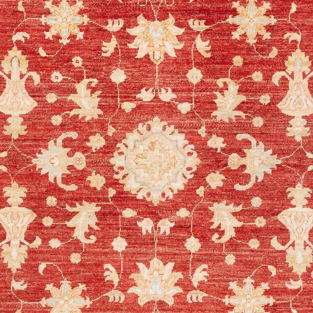 Ziegler Carpet - 241 x 172 cm - rød