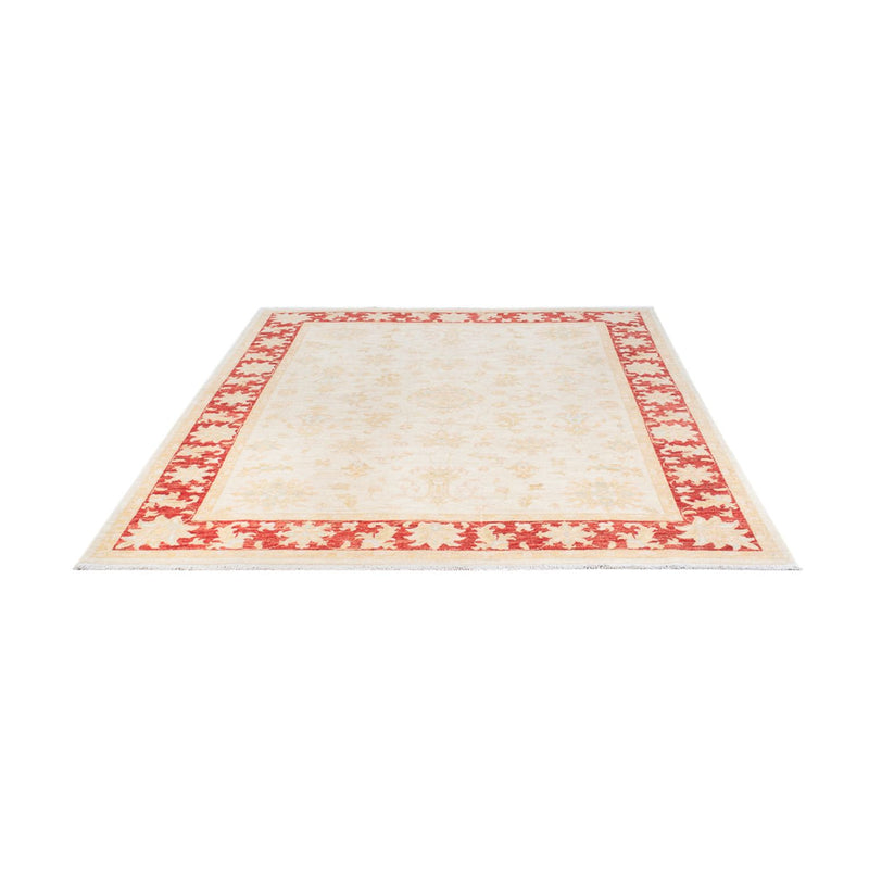 Ziegler Carpet - 239 x 170 cm - creme