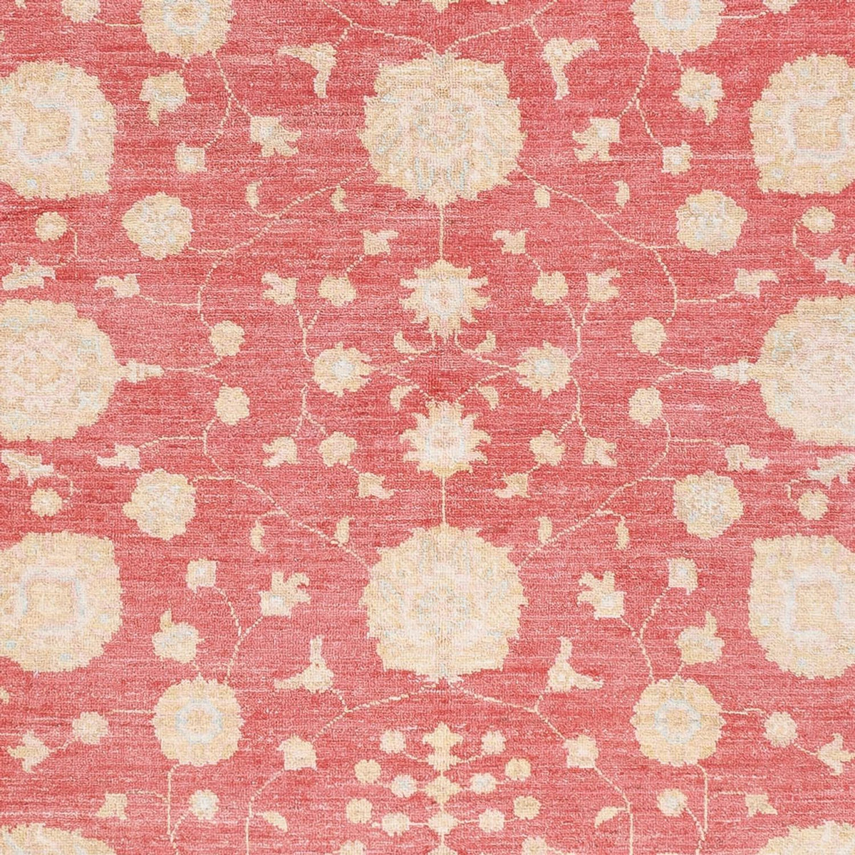 Ziegler Carpet - 238 x 176 cm - rød
