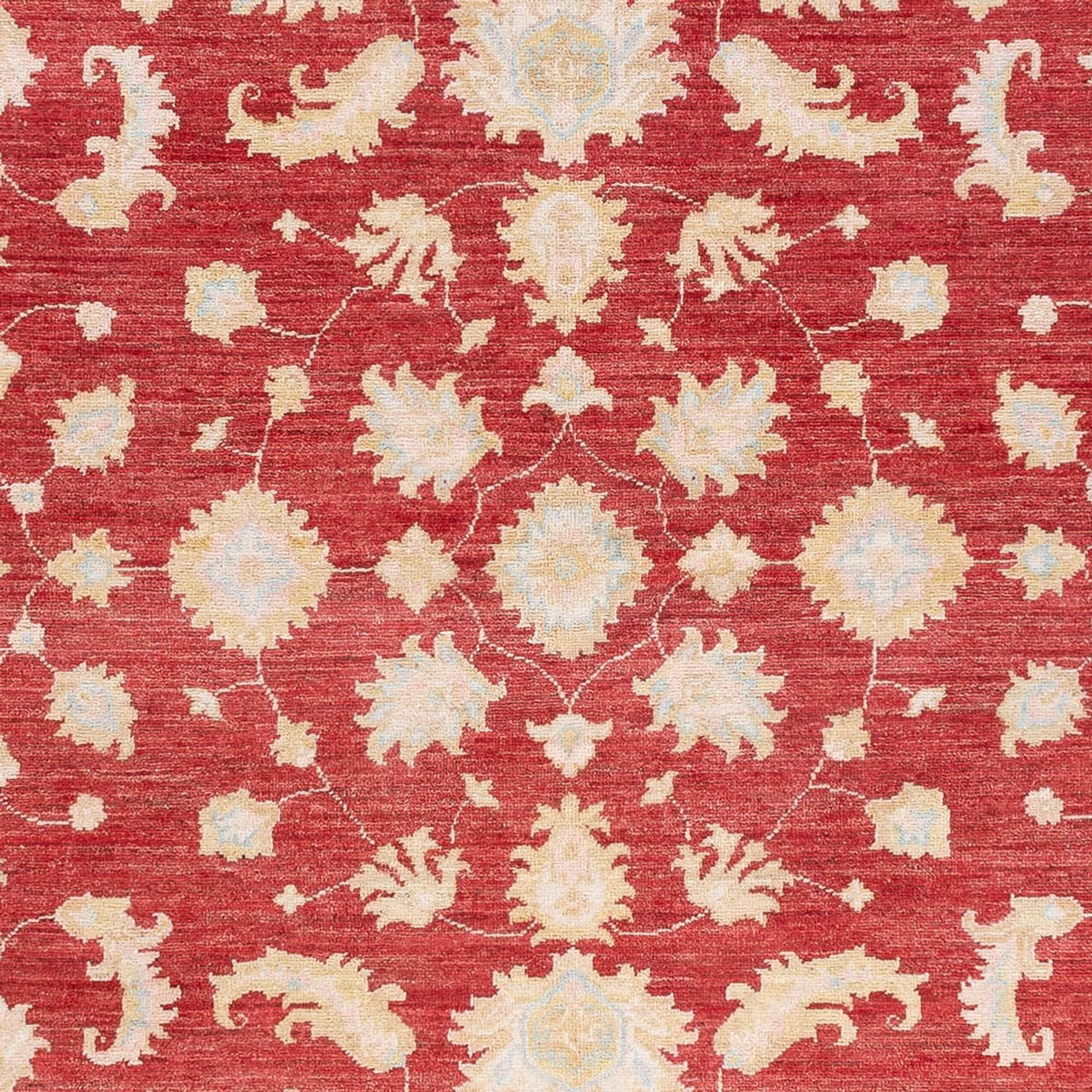 Ziegler Carpet - 240 x 175 cm - rød