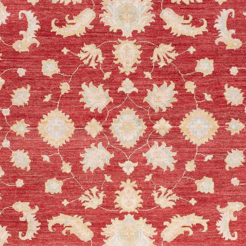 Ziegler Carpet - 240 x 175 cm - rød