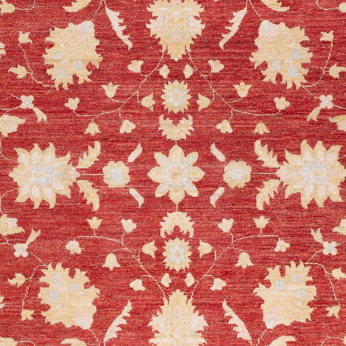 Ziegler Carpet - 234 x 172 cm - rød