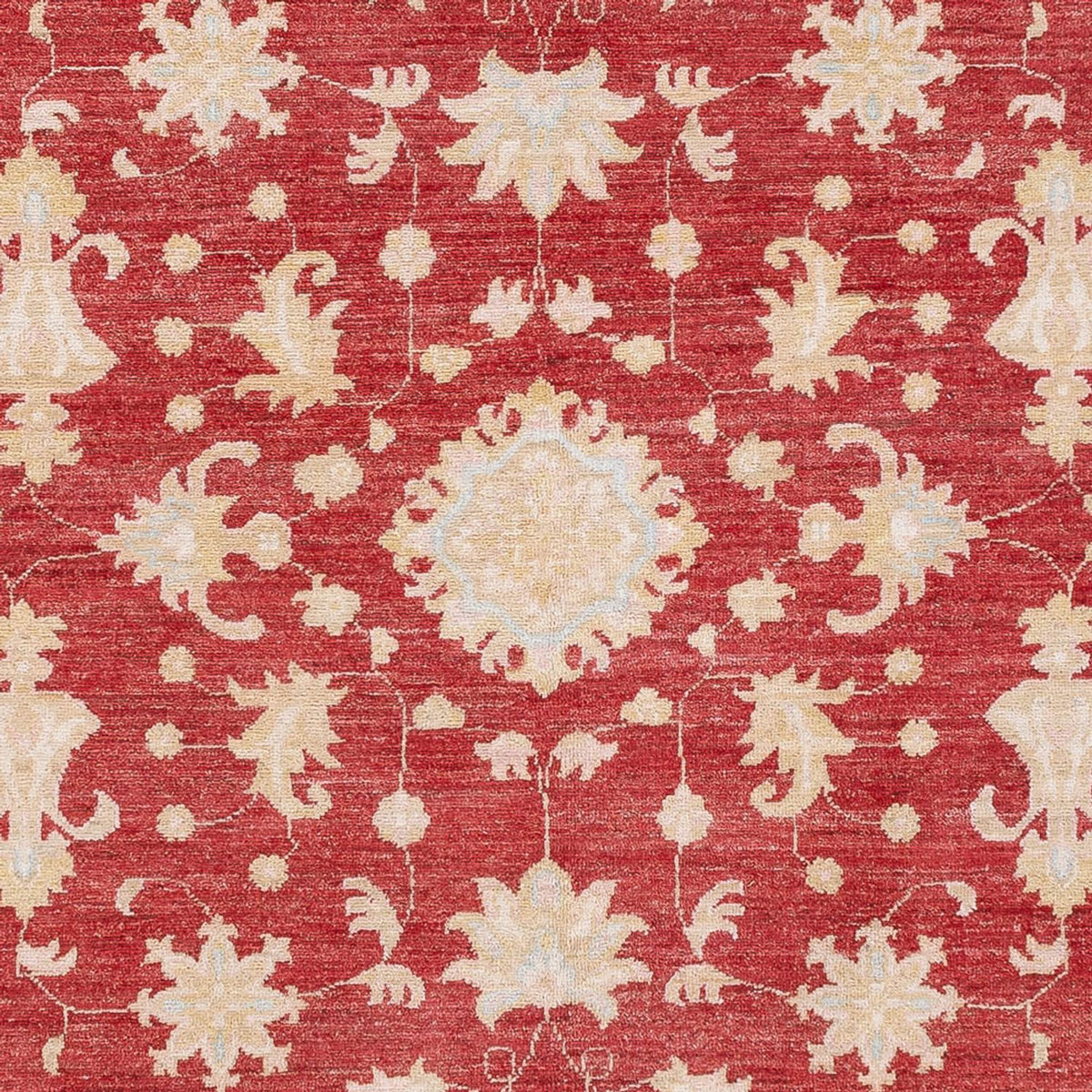 Ziegler Carpet - 239 x 177 cm - rød