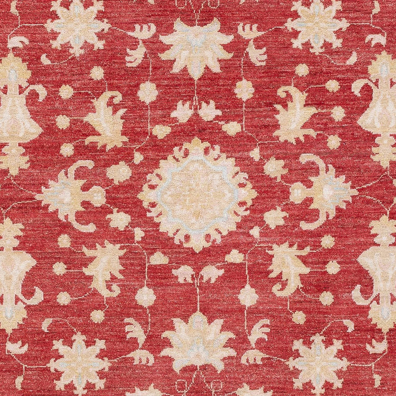 Ziegler Carpet - 239 x 177 cm - rød