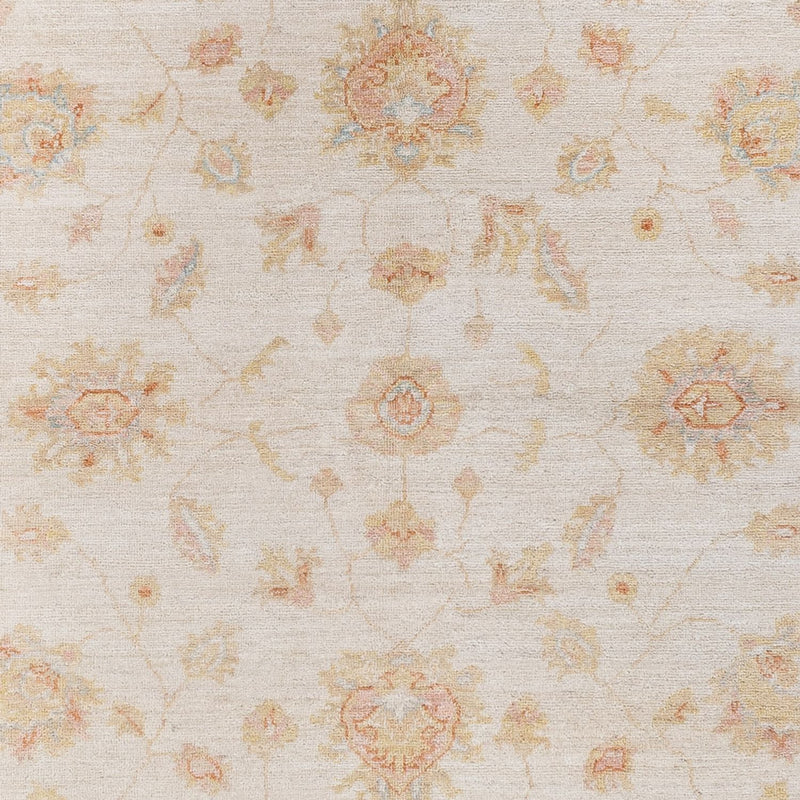 Ziegler Carpet - 237 x 170 cm - creme