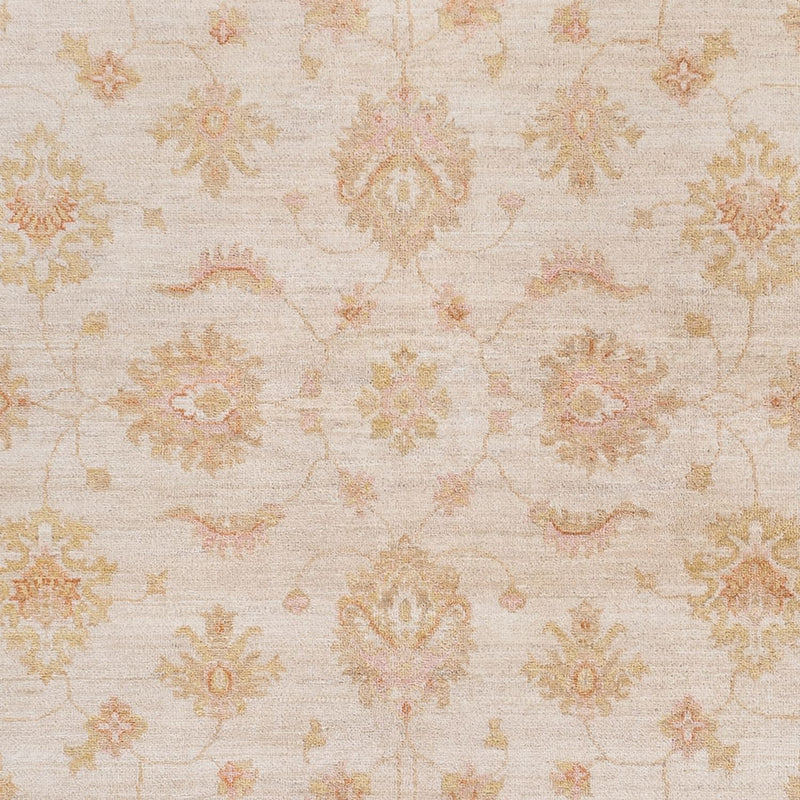 Ziegler Carpet - 238 x 170 cm - creme