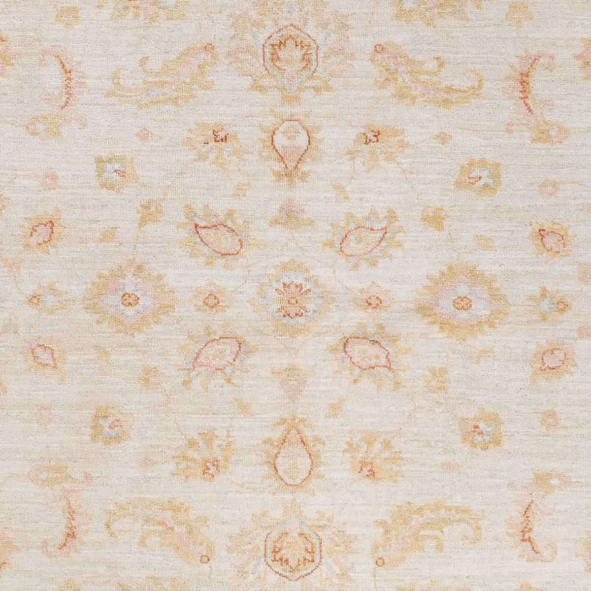 Ziegler Carpet - 245 x 173 cm - creme