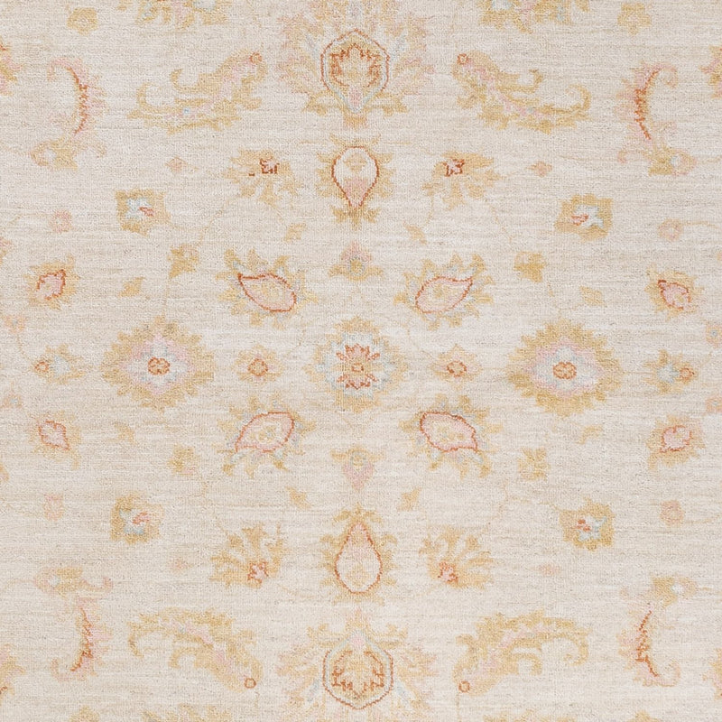 Ziegler Carpet - 245 x 173 cm - creme