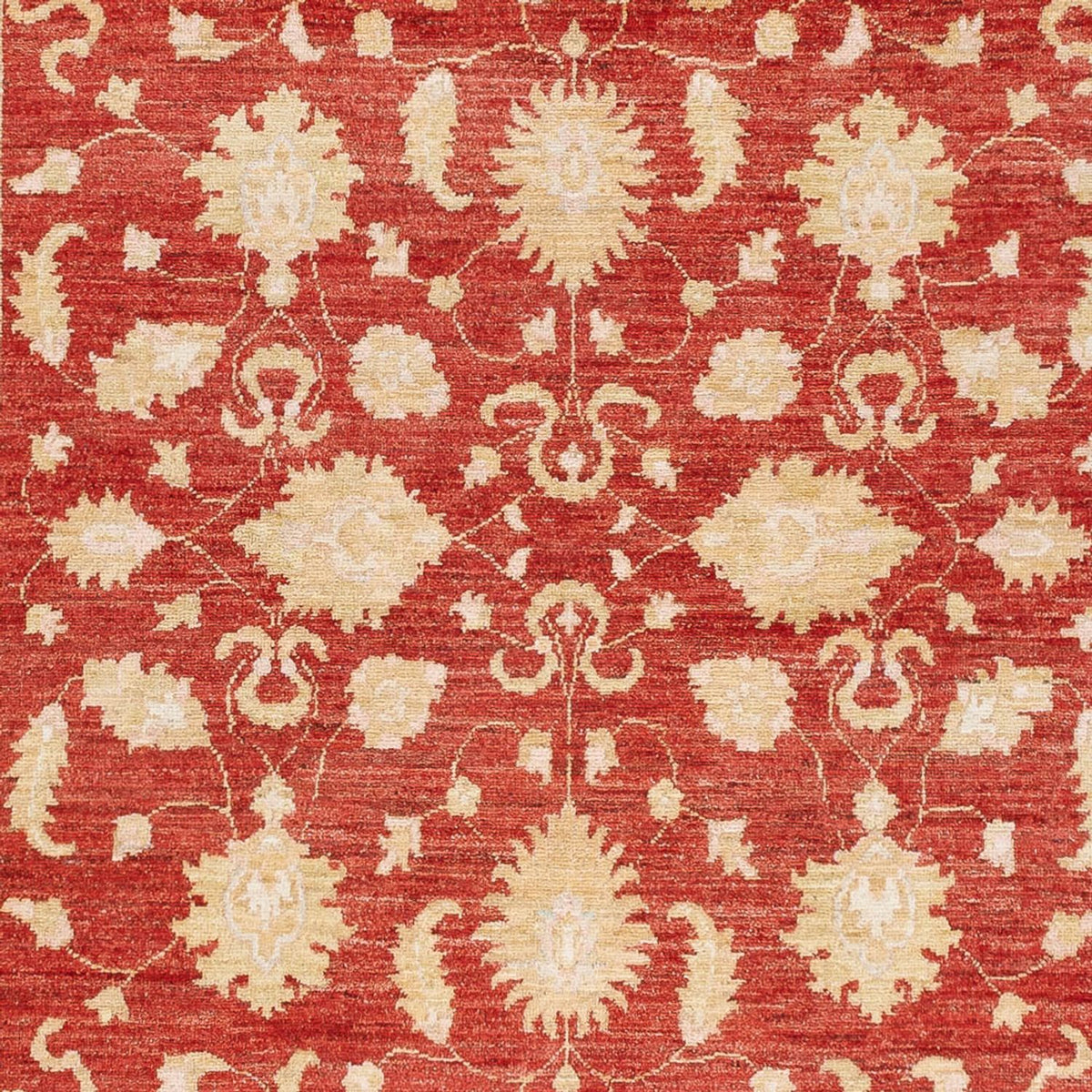 Ziegler Carpet - 241 x 171 cm - rød