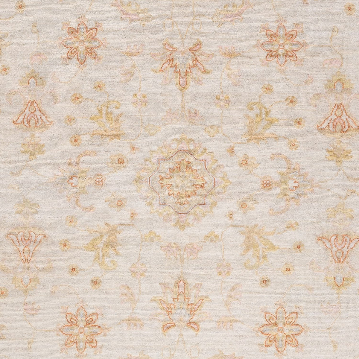 Ziegler Carpet - 241 x 175 cm - creme