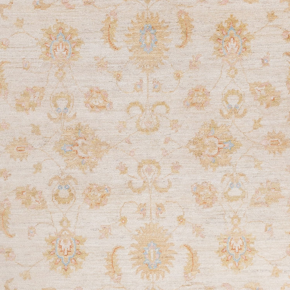 Ziegler Carpet - 242 x 172 cm - creme