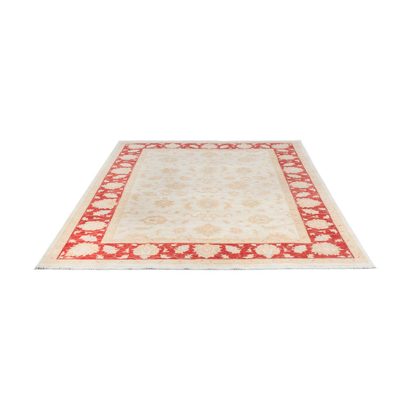 Ziegler Carpet - 242 x 172 cm - creme