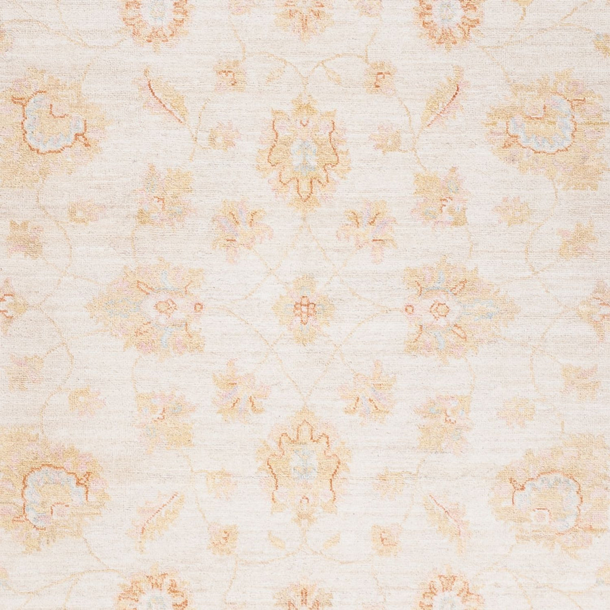 Ziegler Carpet - 240 x 172 cm - creme