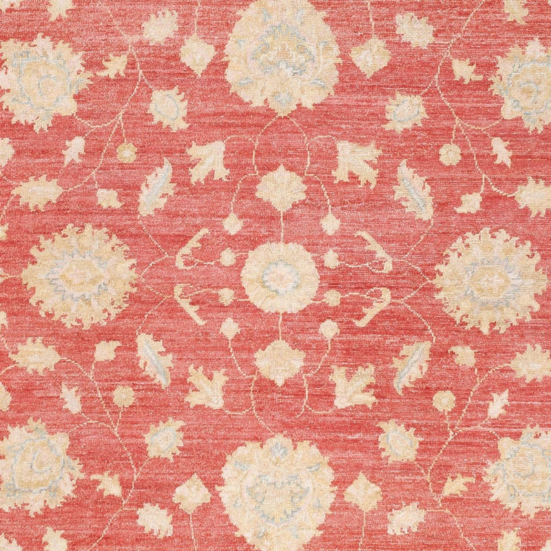 Ziegler Carpet - 251 x 173 cm - rød