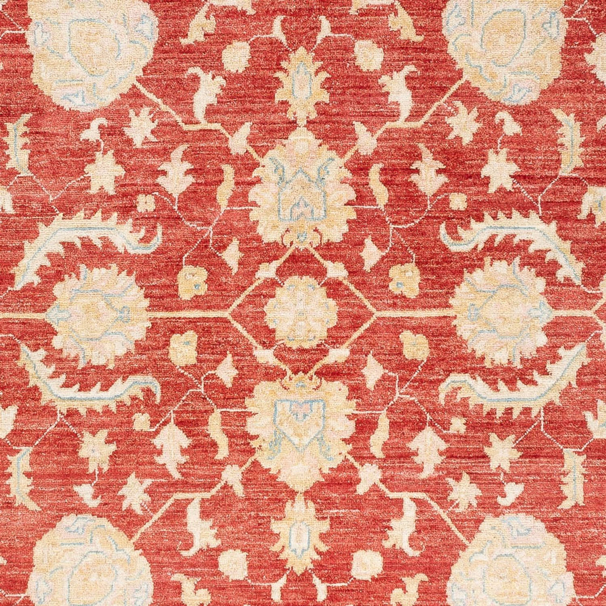 Ziegler Carpet - 233 x 170 cm - rød