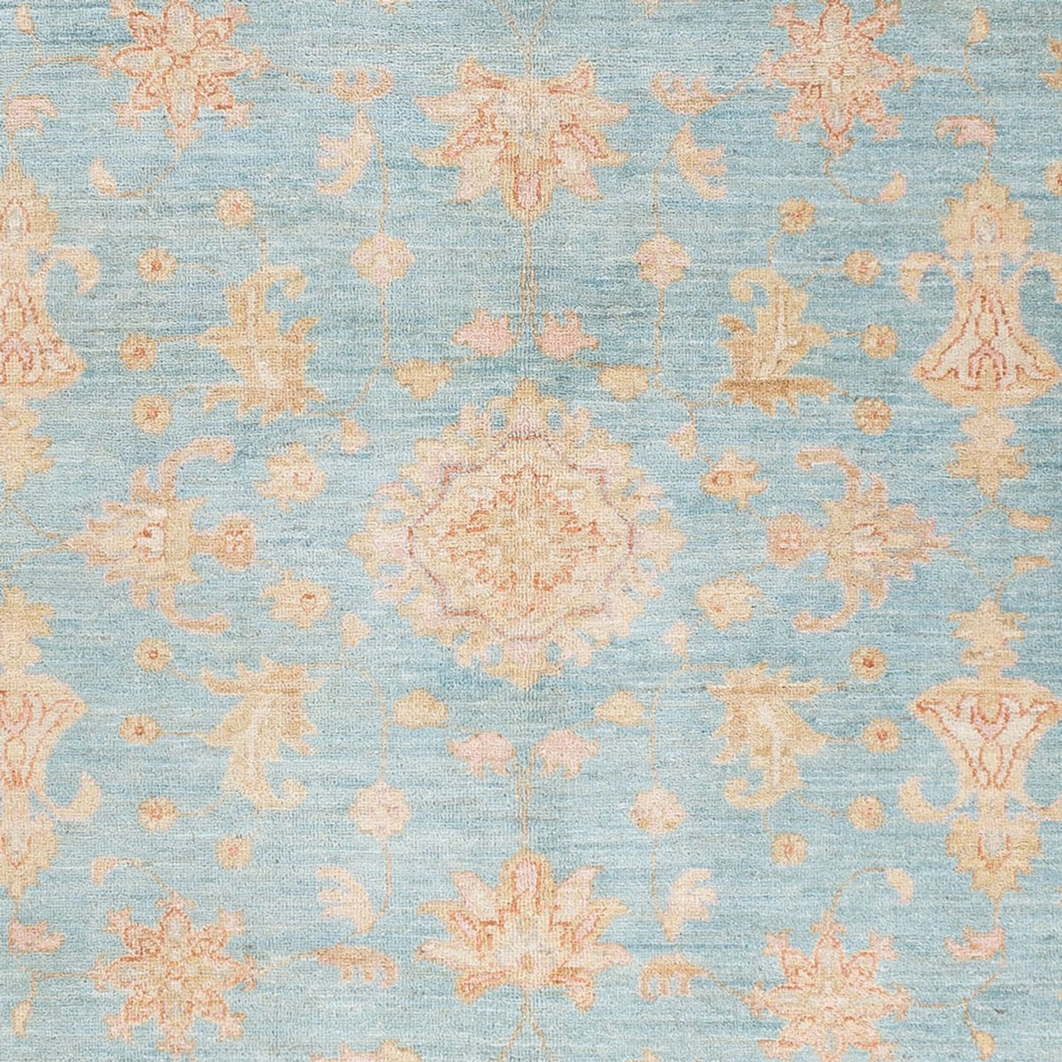 Ziegler Carpet - 235 x 177 cm - lyseblå