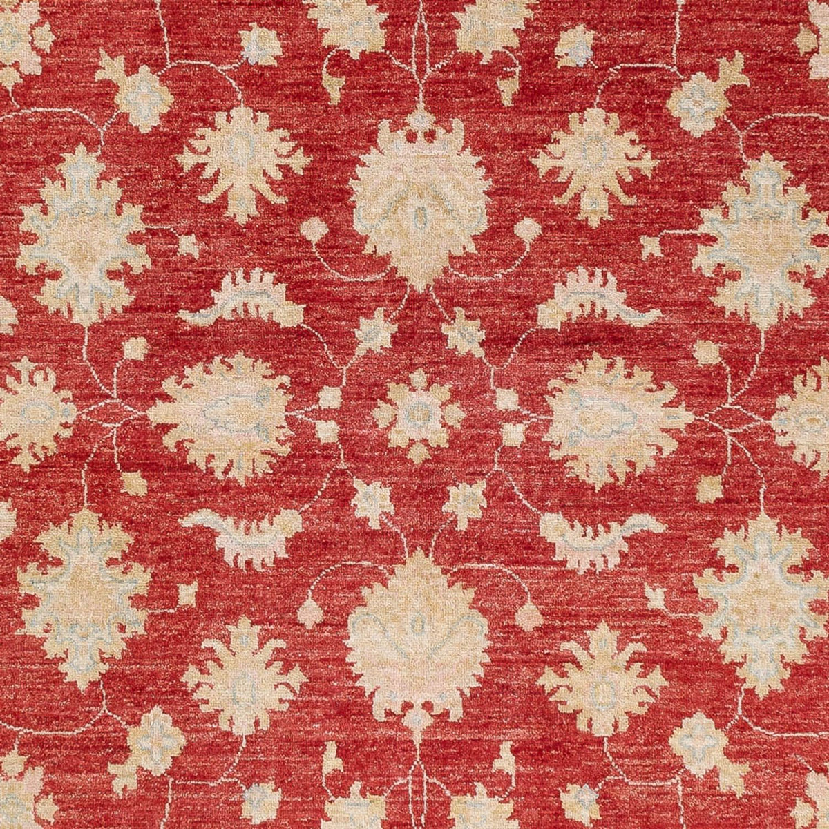 Ziegler Carpet - 239 x 168 cm - rød