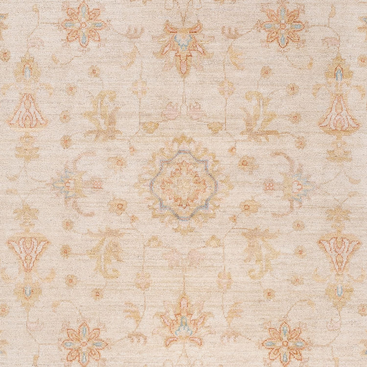 Ziegler Carpet - 243 x 170 cm - beige