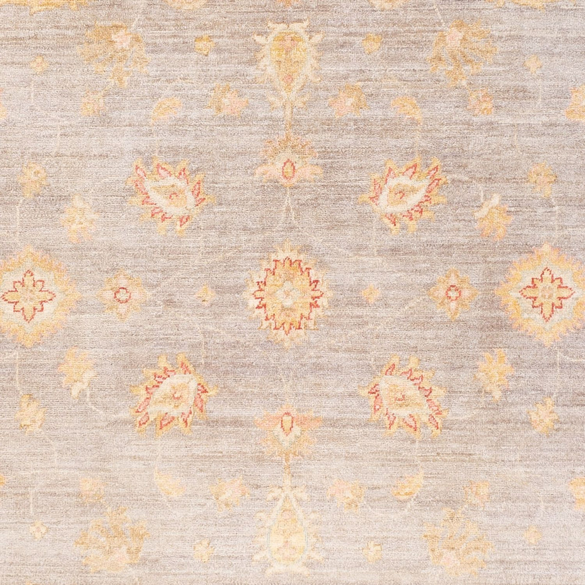 Ziegler Carpet - Ariana - 241 x 169 cm - lilac