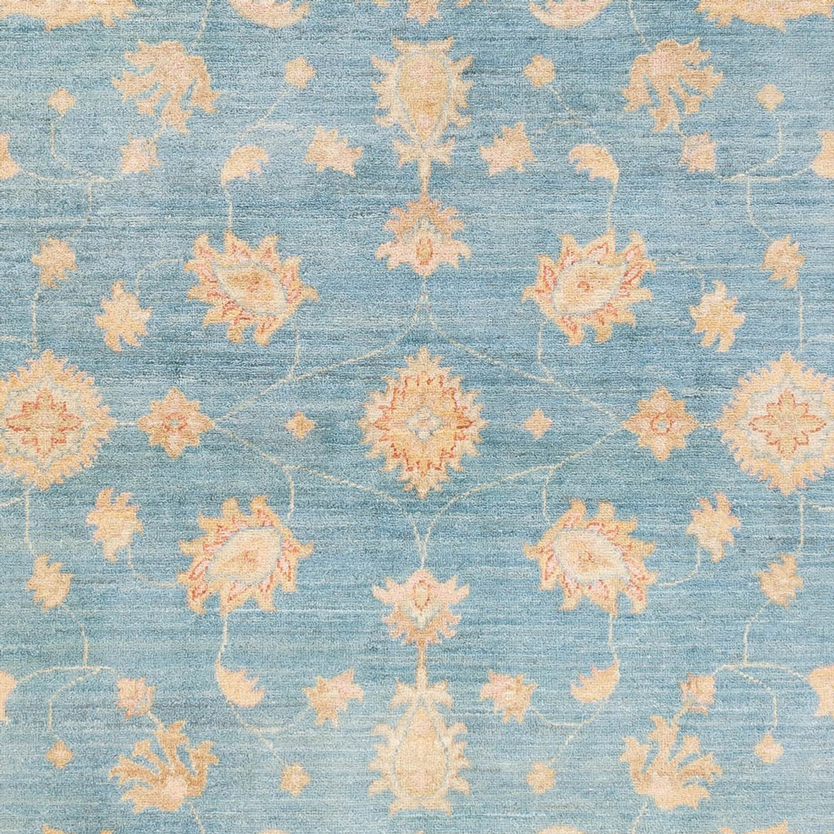 Ziegler Carpet - Ariana - 244 x 171 cm - lyseblå
