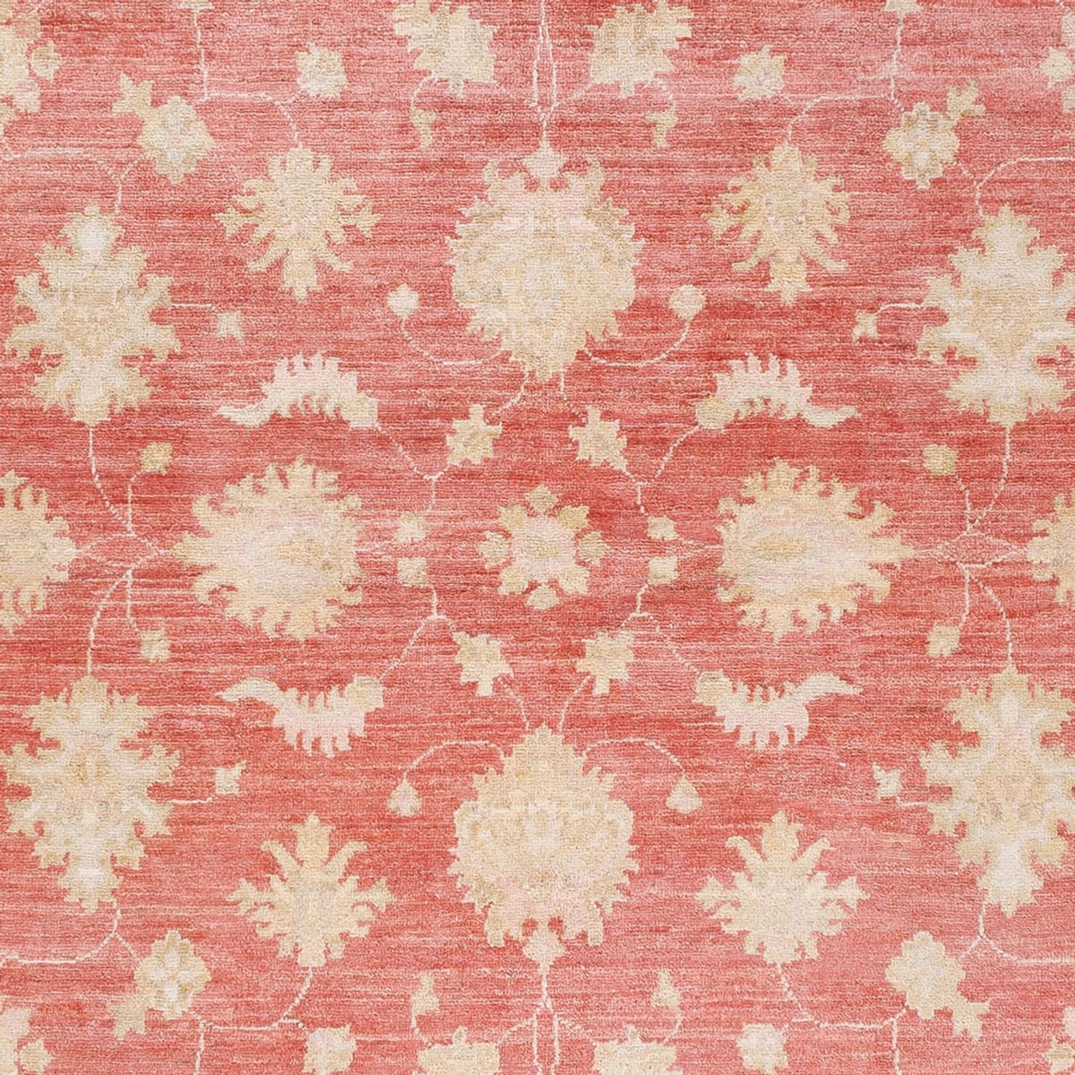 Ziegler Carpet - 248 x 174 cm - rød