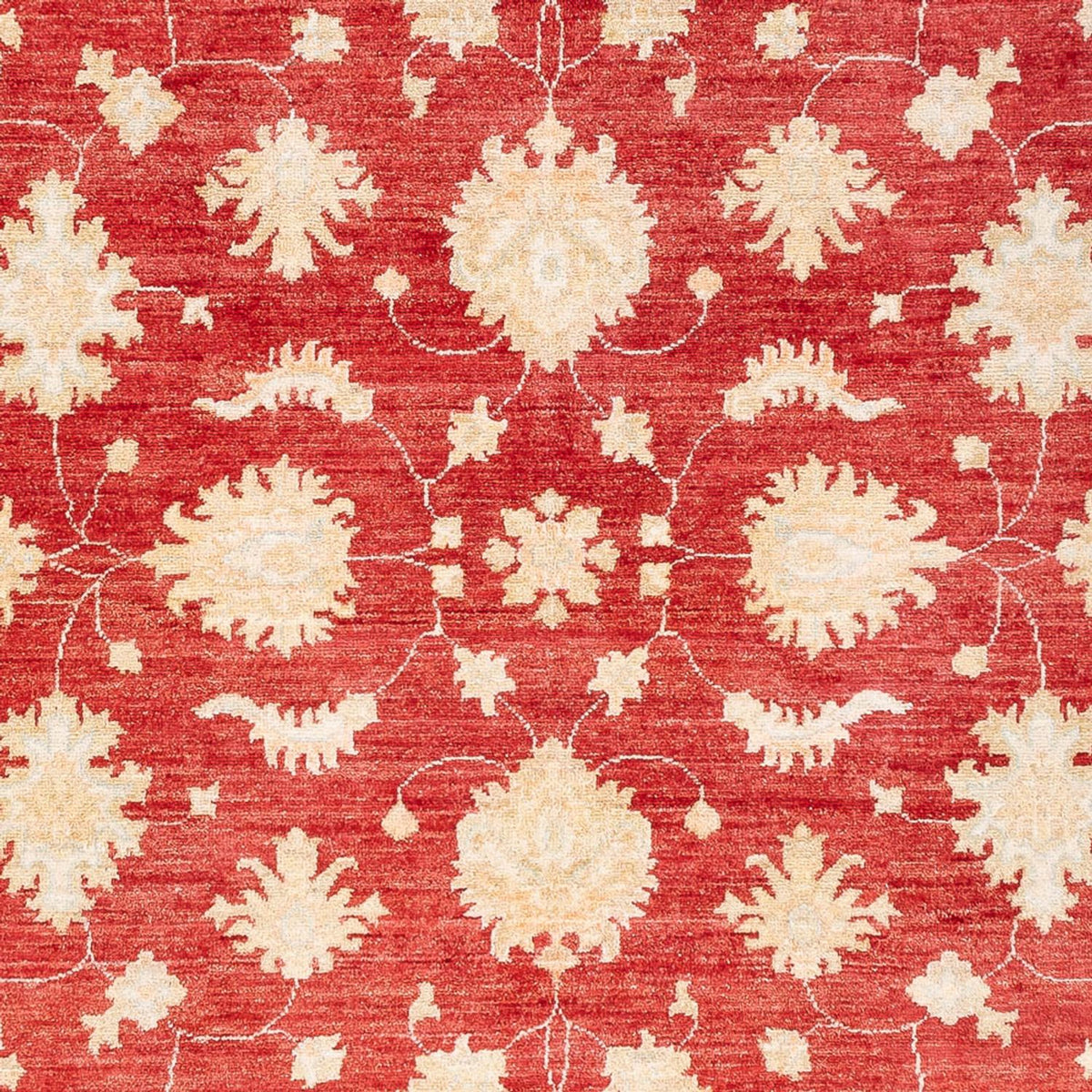 Ziegler Carpet - 240 x 175 cm - rød
