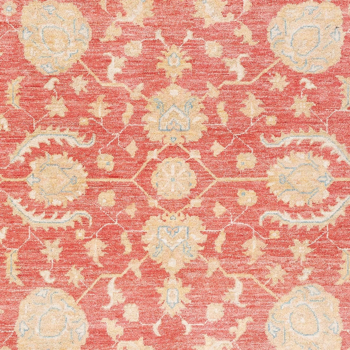 Ziegler Carpet - 241 x 173 cm - rød