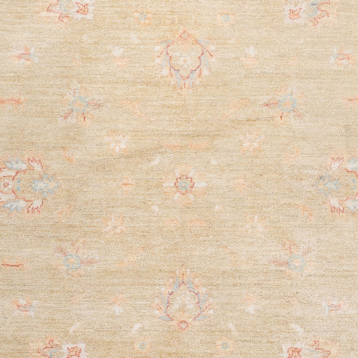 Ziegler Carpet - Ariana - 243 x 172 cm - beige