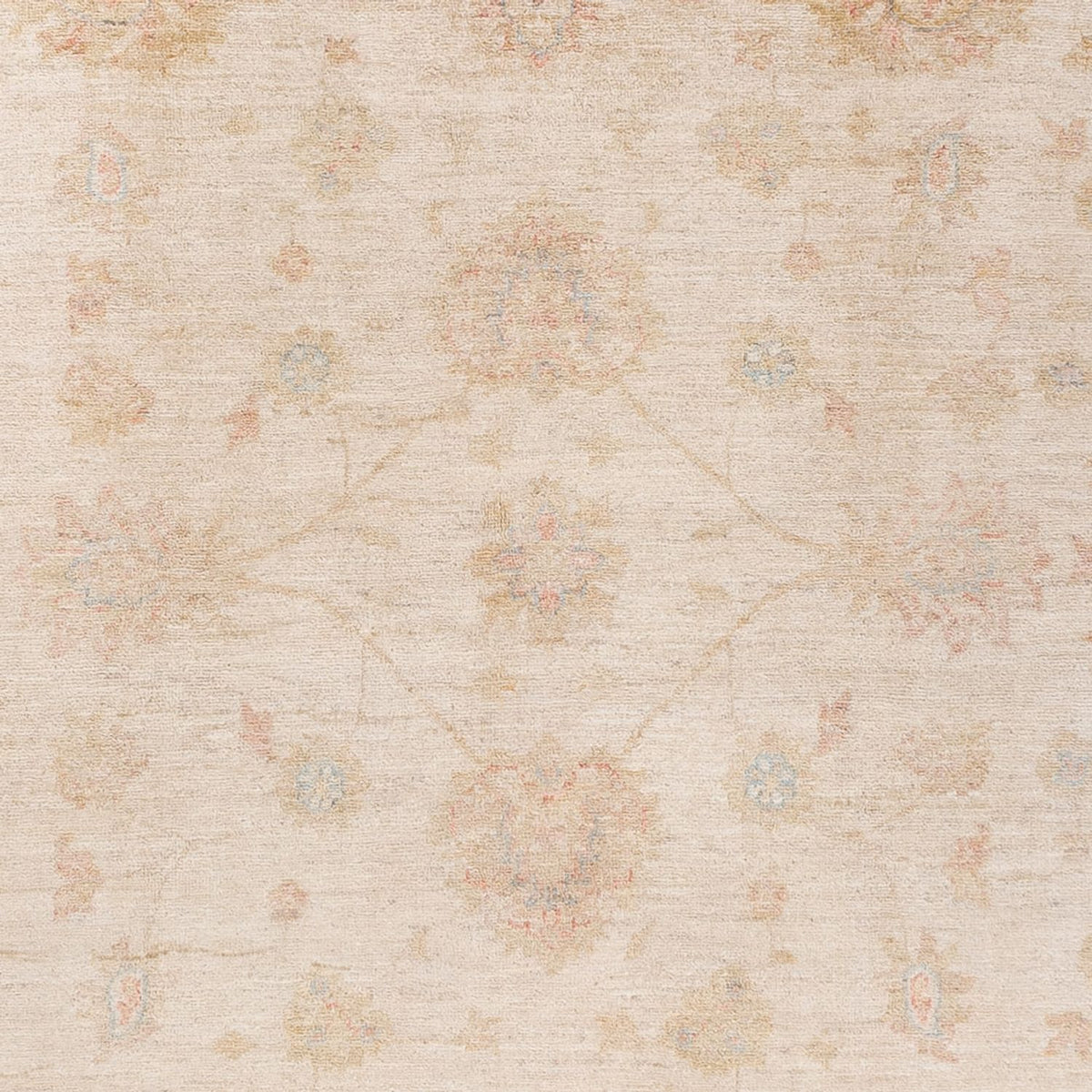 Ziegler Carpet - Ariana - 229 x 170 cm - beige