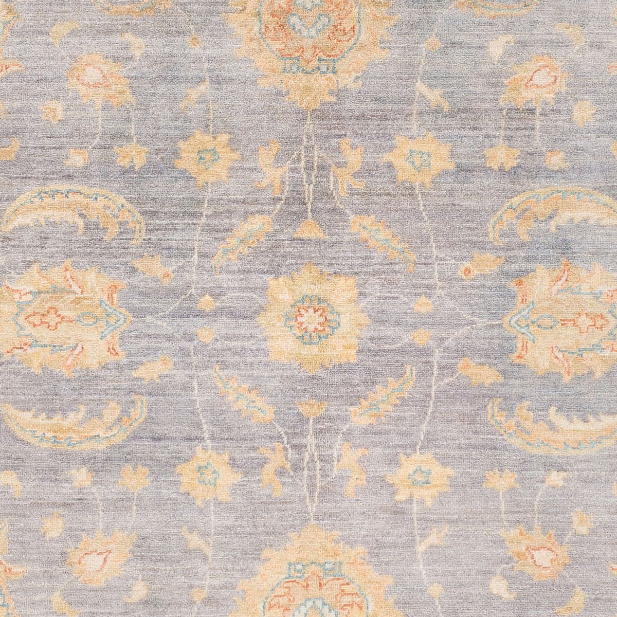 Ziegler Carpet - Ariana - 238 x 173 cm - havblå
