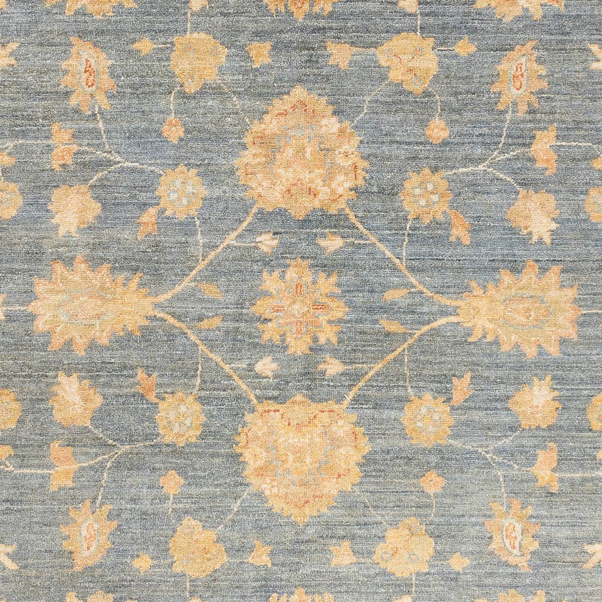 Ziegler Carpet - Ariana - 239 x 174 cm - havblå