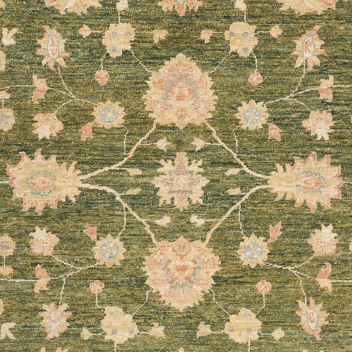 Ziegler Carpet - Ariana - 238 x 177 cm - olivengrøn