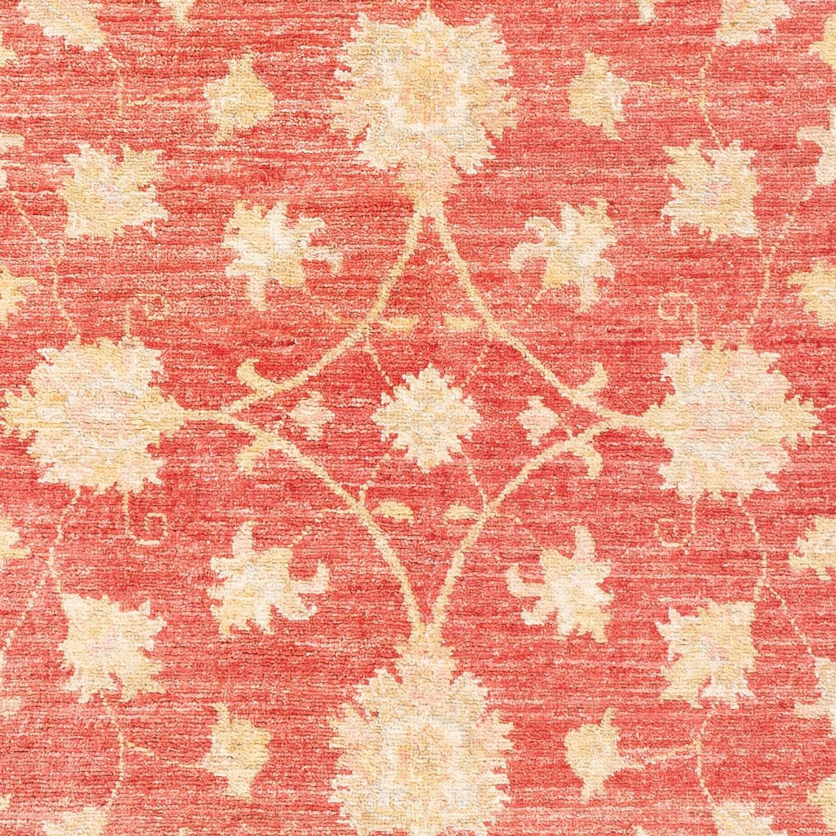 Ziegler Carpet - 176 x 116 cm - rød