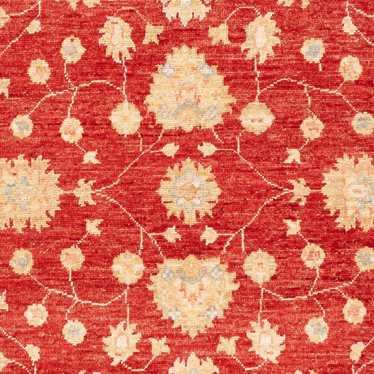 Ziegler Carpet - 177 x 124 cm - rød
