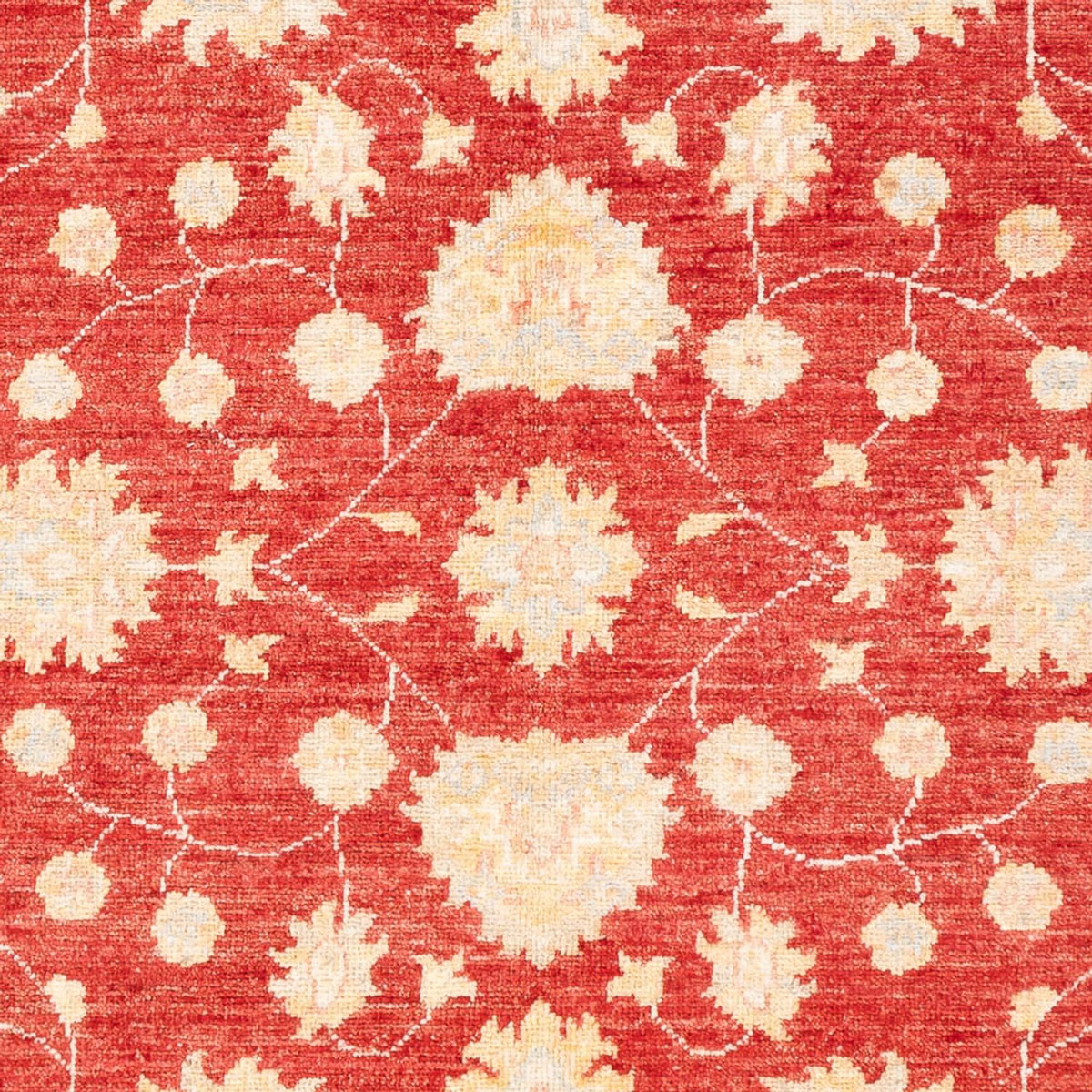 Ziegler Carpet - 177 x 126 cm - rød
