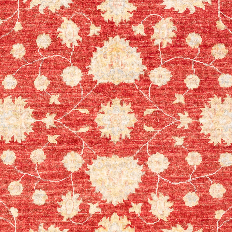 Ziegler Carpet - 177 x 126 cm - rød