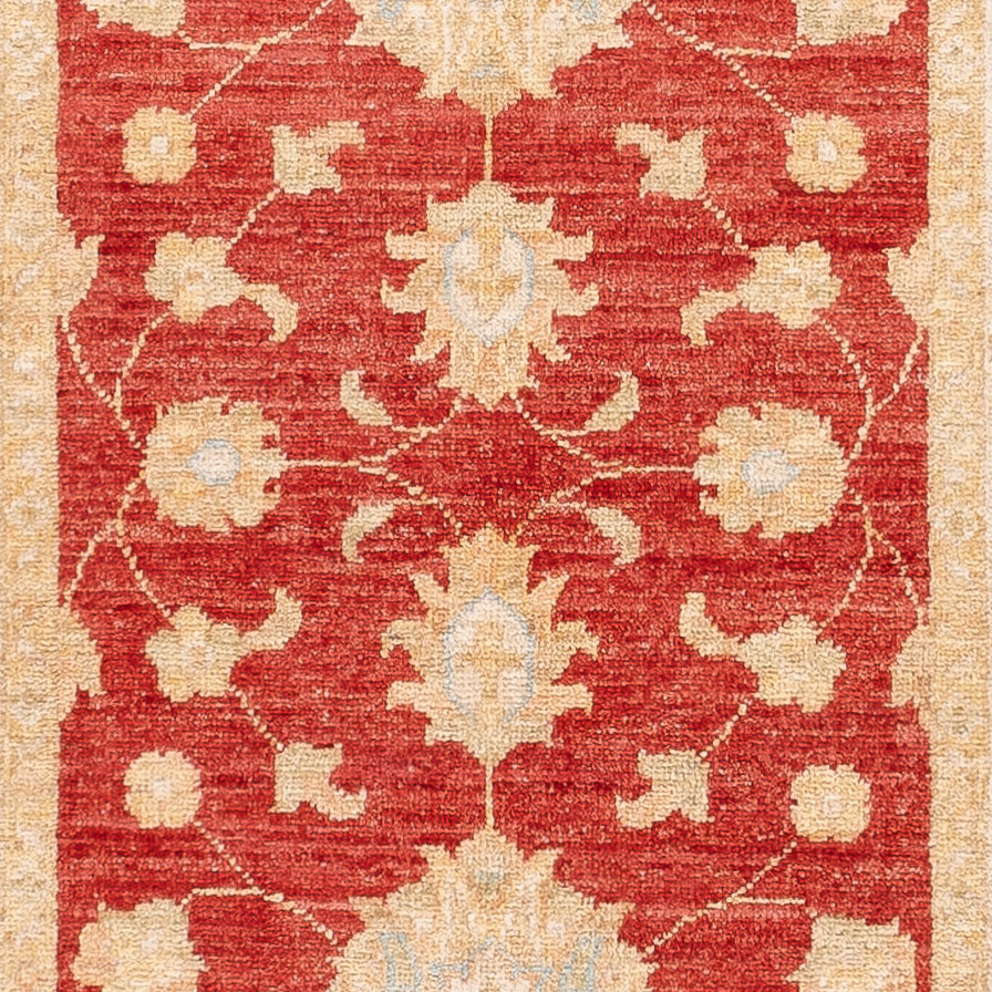 Løber Ziegler Carpet - 250 x 80 cm - rød