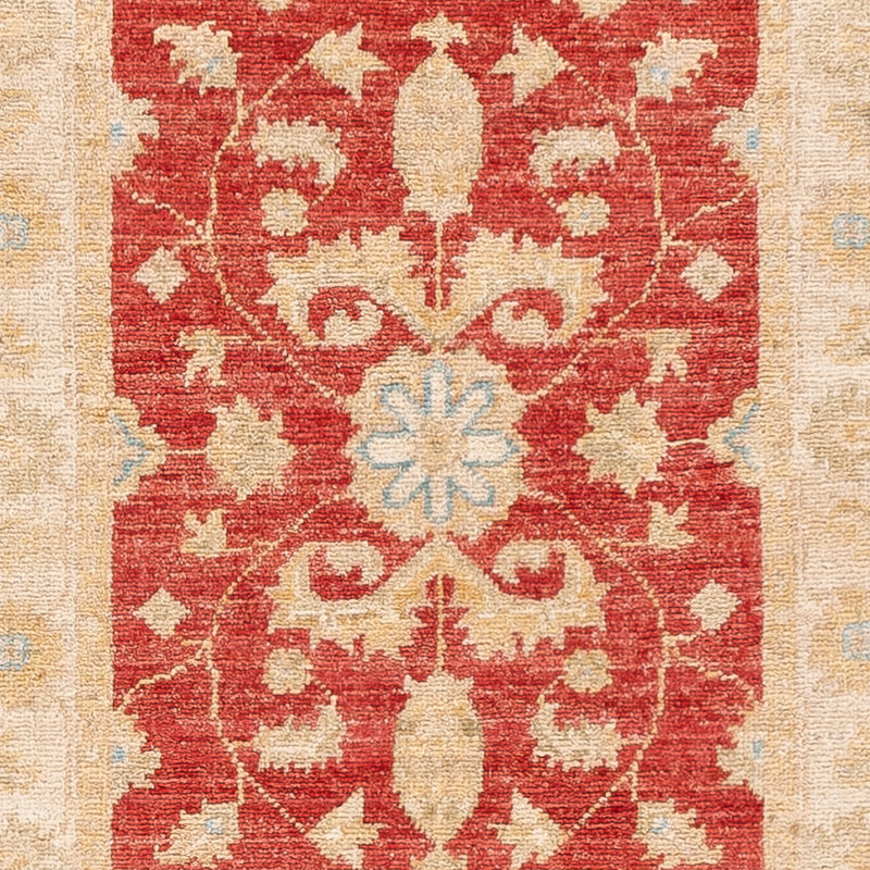 Løber Ziegler Carpet - 251 x 61 cm - rød